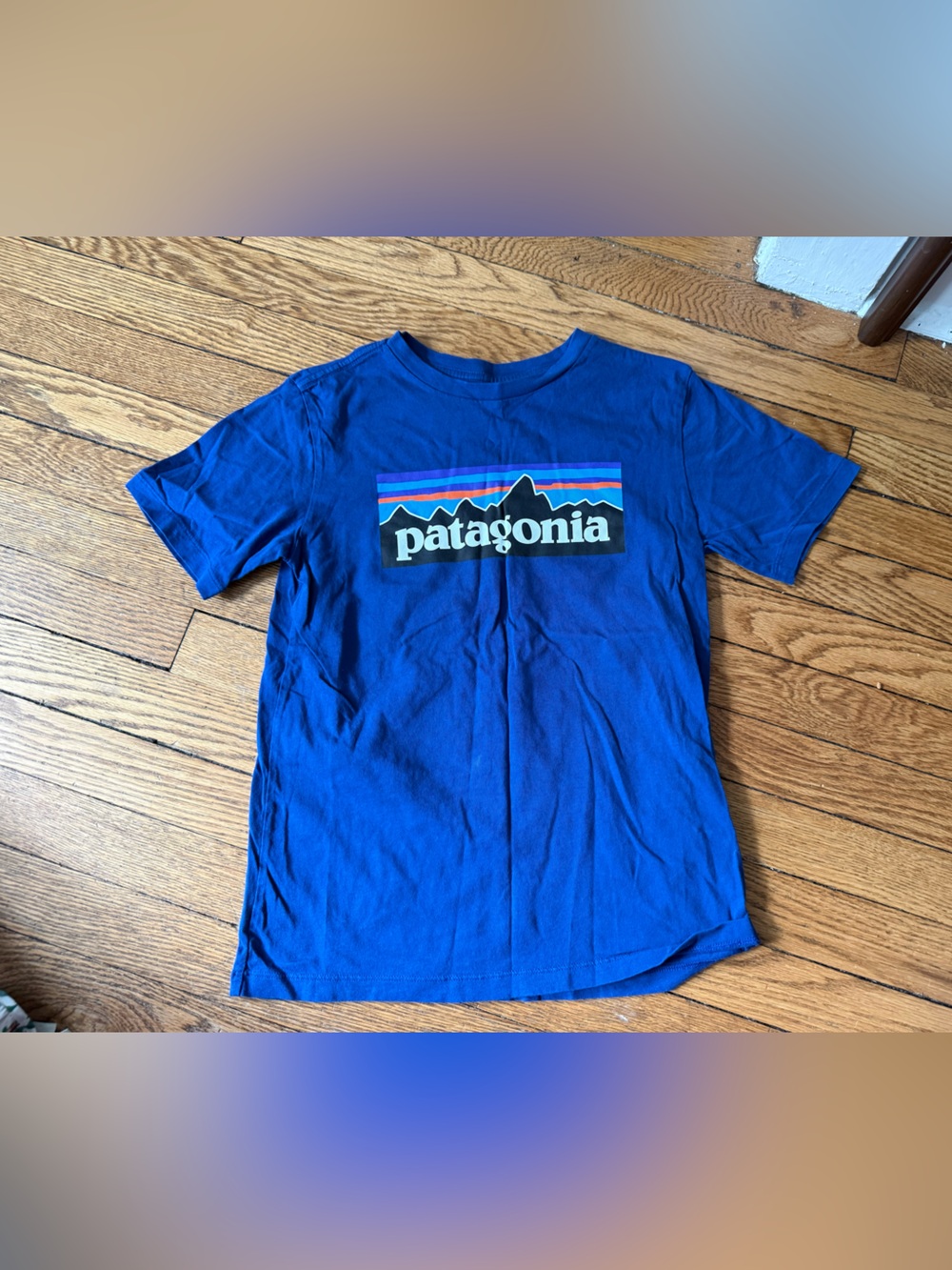 Patagonia Royal Blue Kids Logo Short Sleeve Tee - Size Medium (10)